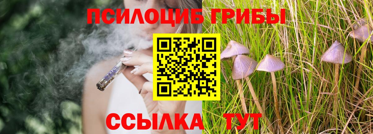 Новоуральск  Галлюциногенные грибы GOLDEN TEACHER  Вход с VPN 